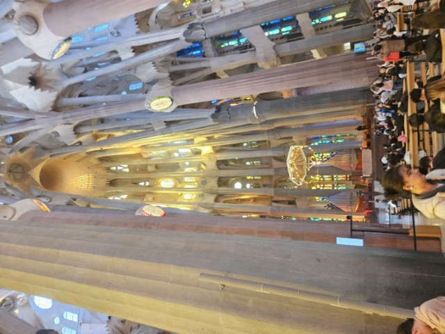 20260223_154921.jpg